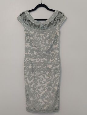 Tadashi Shoji Mint Green Embroidered Lace Midi Sheath Dress Size 4